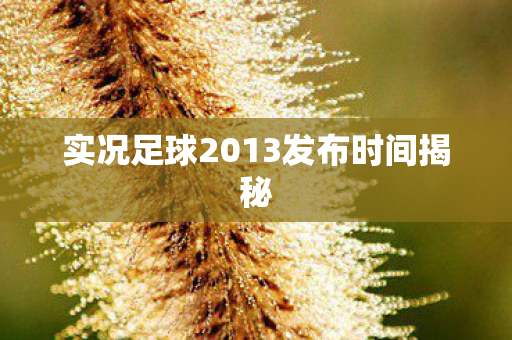 实况足球2013发布时间揭秘