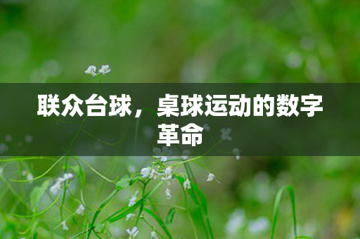 联众台球，桌球运动的数字革命