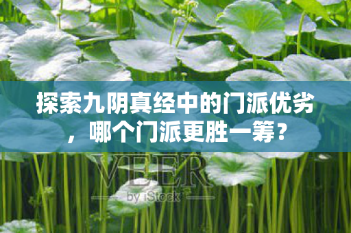 探索九阴真经中的门派优劣，哪个门派更胜一筹？