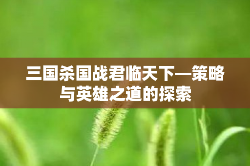 三国杀国战君临天下—策略与英雄之道的探索