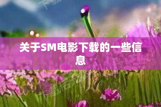 关于SM电影下载的一些信息