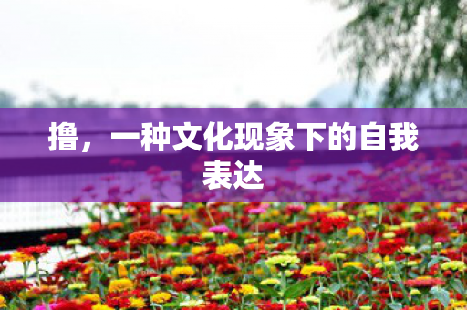 撸，一种文化现象下的自我表达