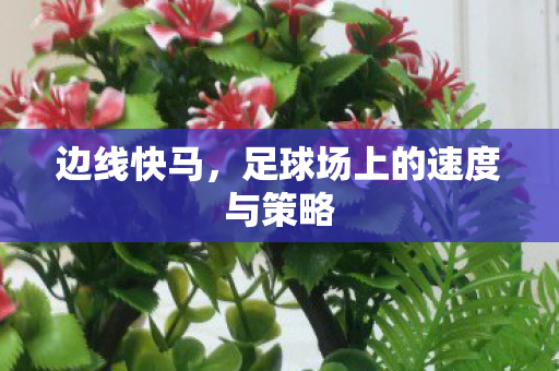边线快马，足球场上的速度与策略