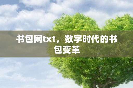 书包网txt，数字时代的书包变革