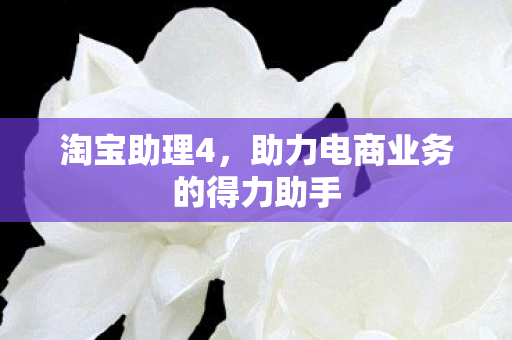 淘宝助理4，助力电商业务的得力助手