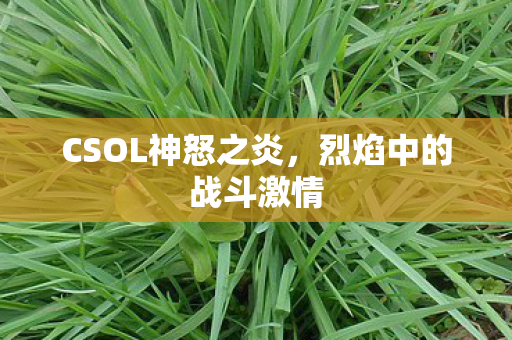 CSOL神怒之炎，烈焰中的战斗激情