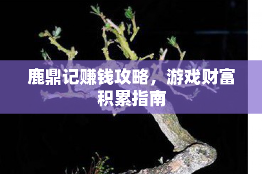 鹿鼎记赚钱攻略，游戏财富积累指南