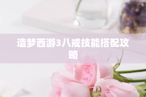 造梦西游3八戒技能搭配攻略