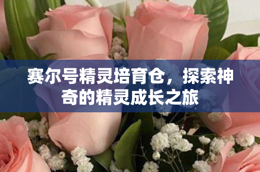 赛尔号精灵培育仓，探索神奇的精灵成长之旅