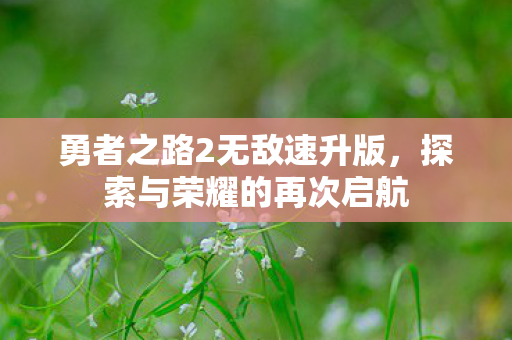 勇者之路2无敌速升版，探索与荣耀的再次启航