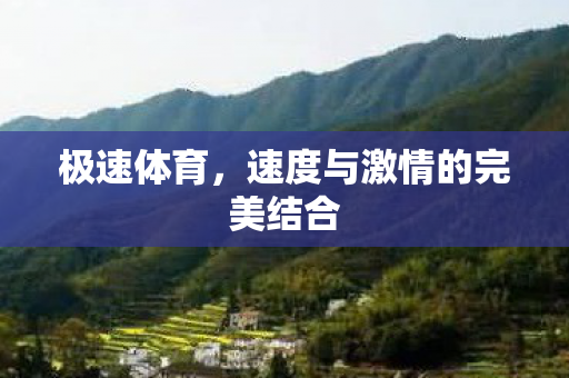 极速体育，速度与激情的完美结合