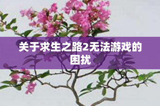 关于求生之路2无法游戏的困扰