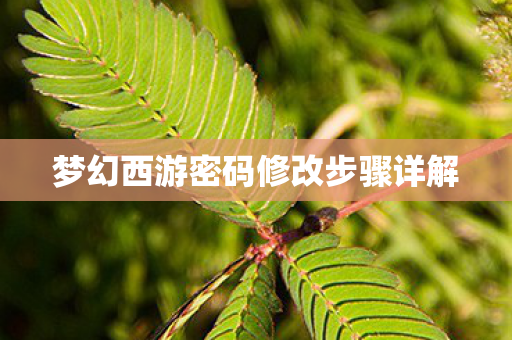 梦幻西游密码修改步骤详解