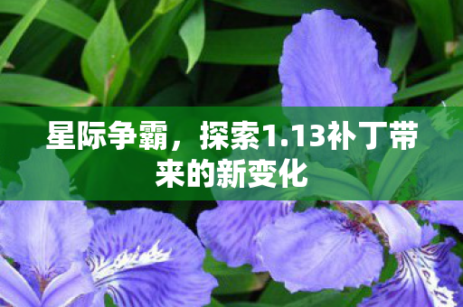 星际争霸，探索1.13补丁带来的新变化