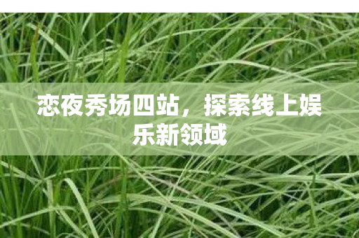 恋夜秀场四站，探索线上娱乐新领域