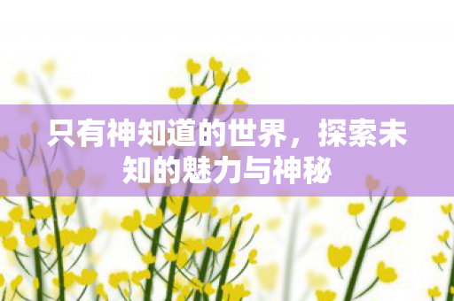 只有神知道的世界，探索未知的魅力与神秘