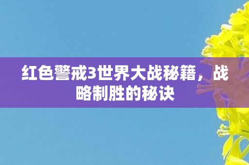 红色警戒3世界大战秘籍，战略制胜的秘诀