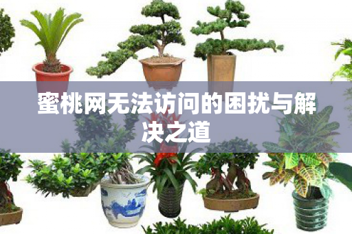 蜜桃网无法访问的困扰与解决之道