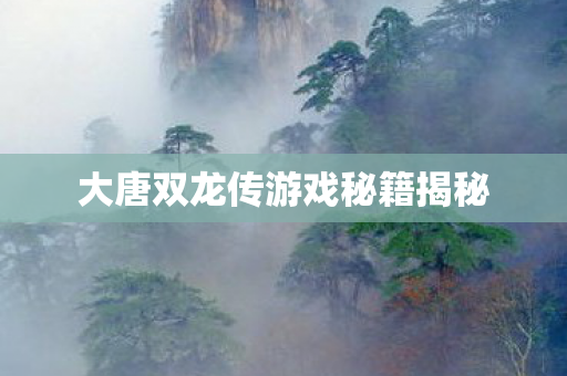 大唐双龙传游戏秘籍揭秘