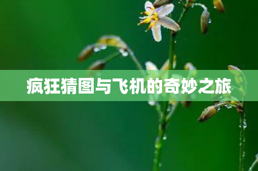 疯狂猜图与飞机的奇妙之旅