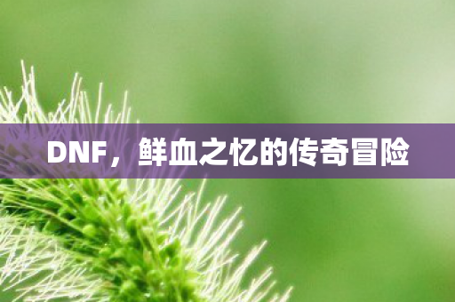 DNF，鲜血之忆的传奇冒险