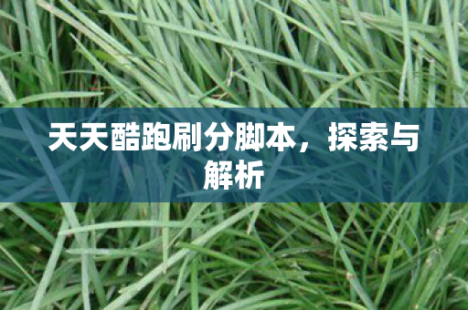 天天酷跑刷分脚本，探索与解析