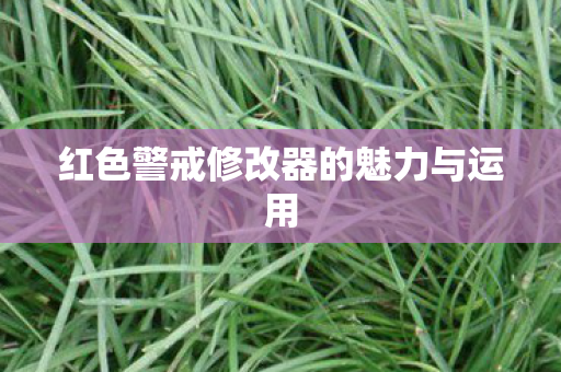 红色警戒修改器的魅力与运用