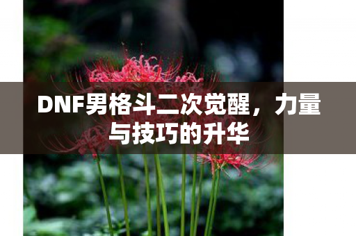 DNF男格斗二次觉醒，力量与技巧的升华