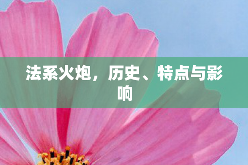 法系火炮，历史、特点与影响
