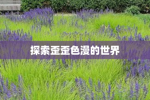 探索歪歪色漫的世界