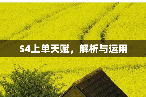 S4上单天赋，解析与运用