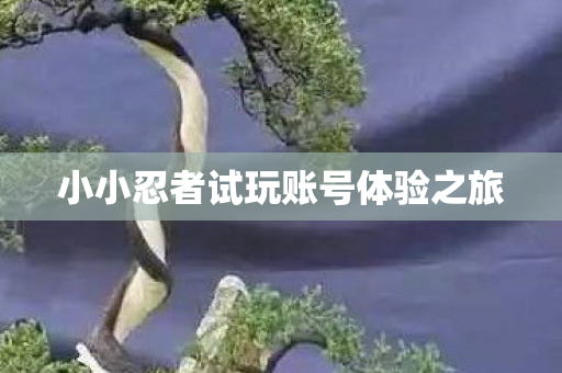 小小忍者试玩账号体验之旅