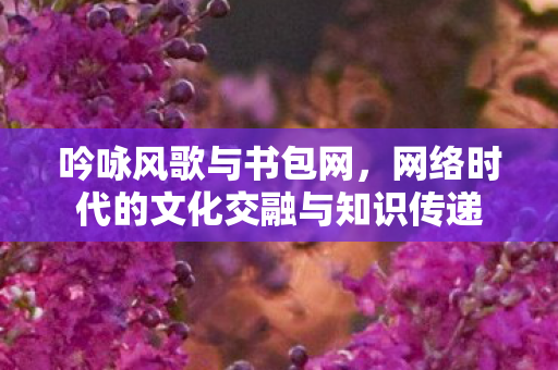 吟咏风歌与书包网，网络时代的文化交融与知识传递