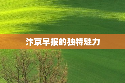 汴京早报的独特魅力