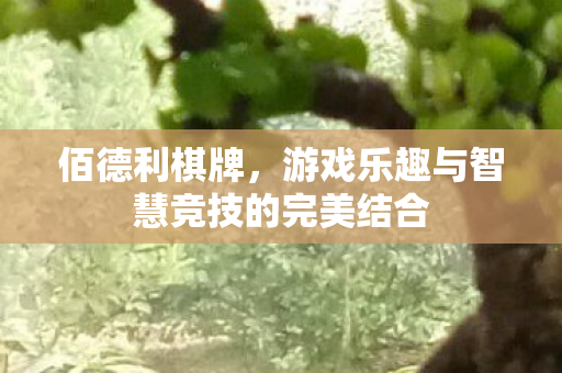 佰德利棋牌，游戏乐趣与智慧竞技的完美结合