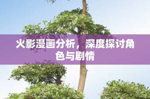 火影漫画分析，深度探讨角色与剧情