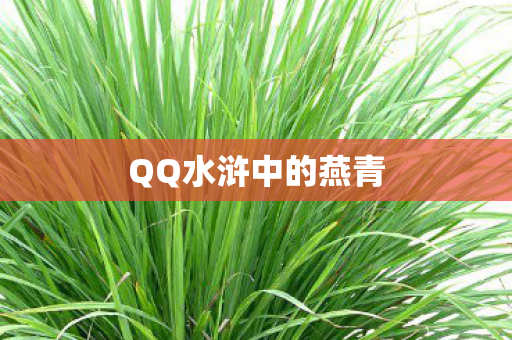 QQ水浒中的燕青