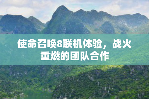 使命召唤8联机体验，战火重燃的团队合作