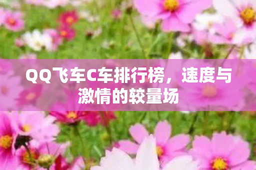 QQ飞车C车排行榜，速度与激情的较量场