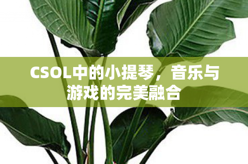 CSOL中的小提琴，音乐与游戏的完美融合