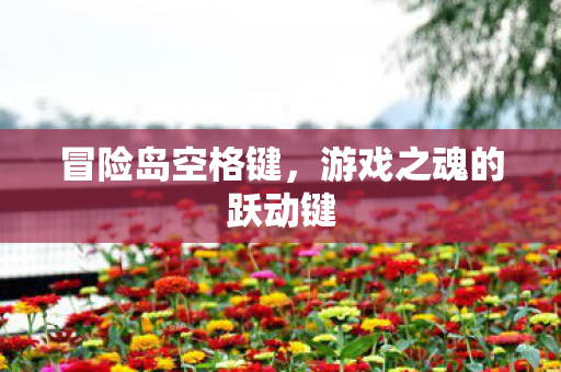 冒险岛空格键，游戏之魂的跃动键