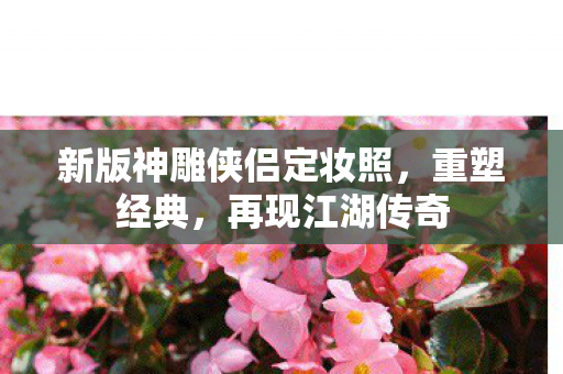 新版神雕侠侣定妆照，重塑经典，再现江湖传奇