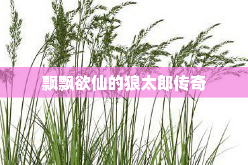 飘飘欲仙的狼太郎传奇