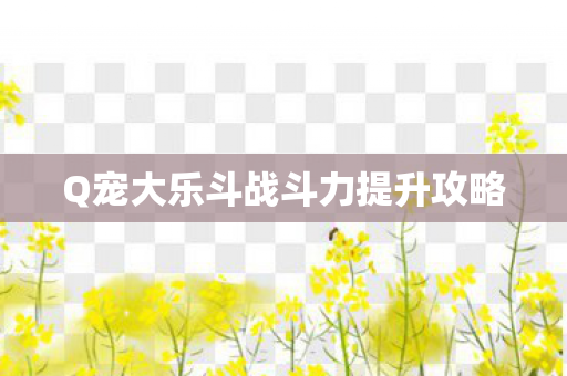 Q宠大乐斗战斗力提升攻略
