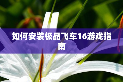 如何安装极品飞车16游戏指南