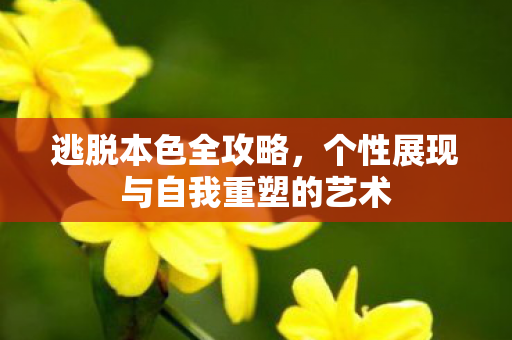 逃脱本色全攻略，个性展现与自我重塑的艺术