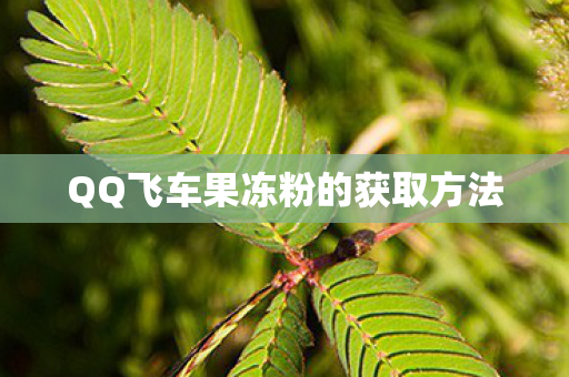 QQ飞车果冻粉的获取方法