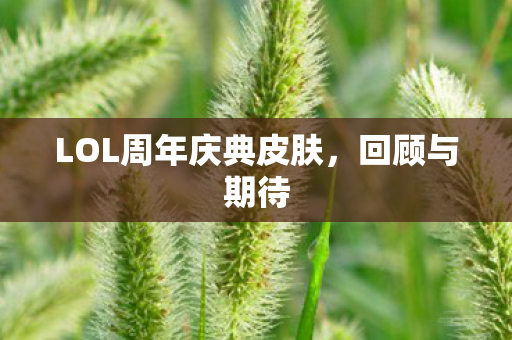 LOL周年庆典皮肤，回顾与期待