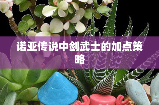 诺亚传说中剑武士的加点策略