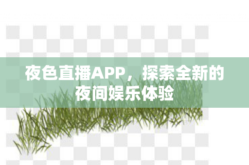 夜色直播APP，探索全新的夜间娱乐体验